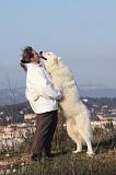 ADULTE ET CHIEN 126